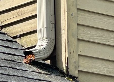 drainpipe outside home with damaged wood trim