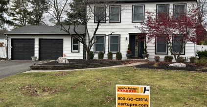 Exterior Paint and Carpentry Project