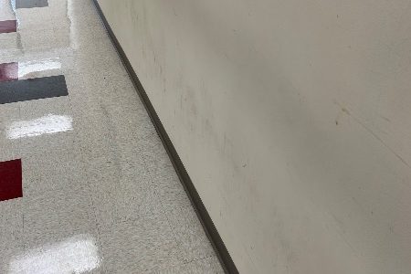 Hallway Scuffs and Peeling