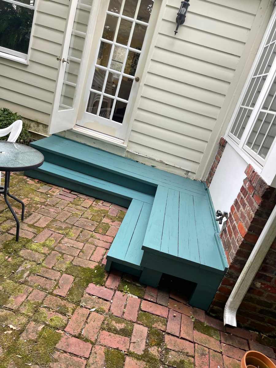 Deck Painting Preview Image 4