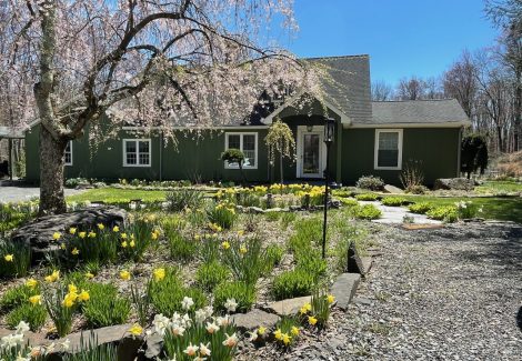 dark green painted house