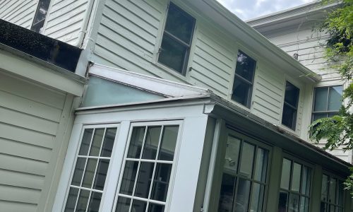Vinyl Siding Repaint