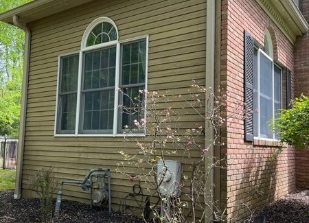 rear exterior of house with brown siding