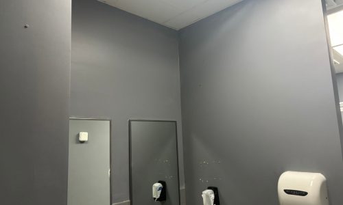 Skyzone Before Image Bathrooms