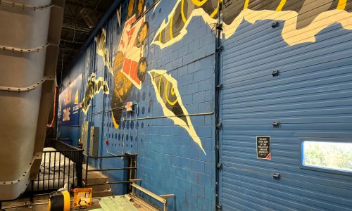 Skyzone Before Image Wall Mural