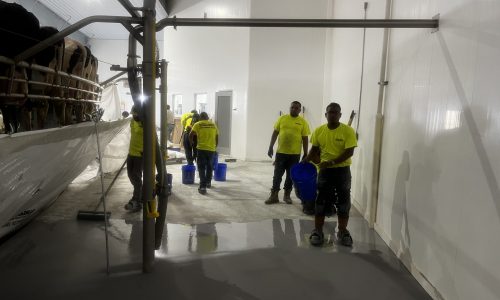 Commercial Flooring Project