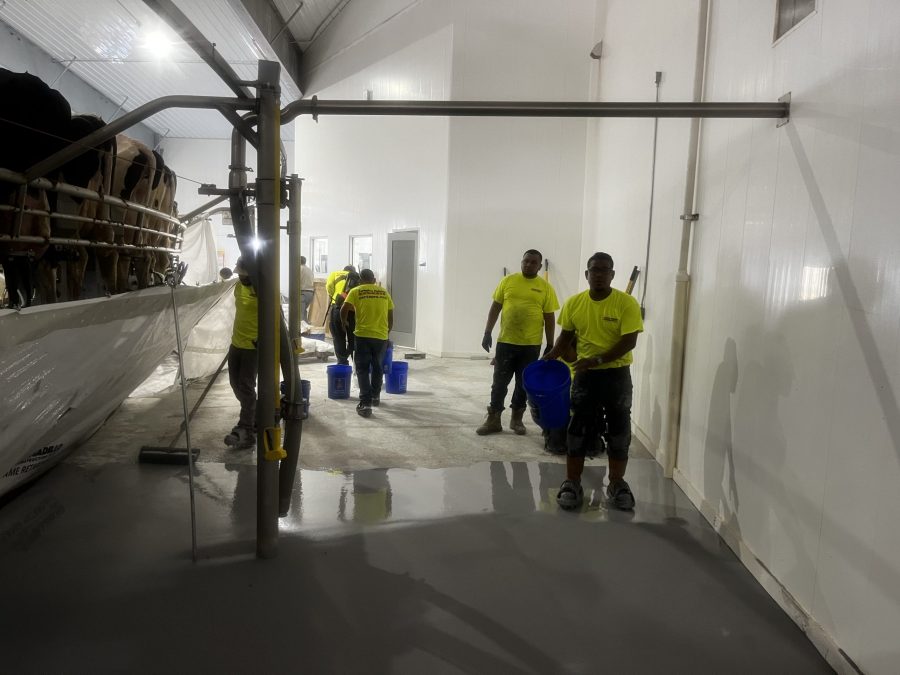 Commercial Flooring Project during photo Preview Image 17