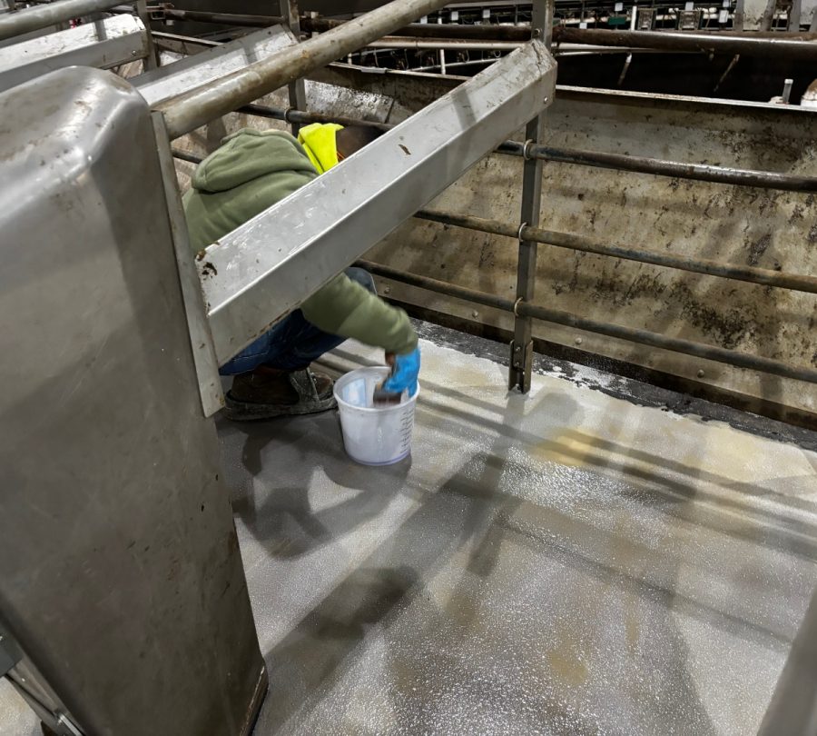 Gill Dairy Case Study floor being finished with sand on top Preview Image 4