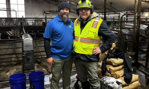 Gill Dairy Case Study Before Photo