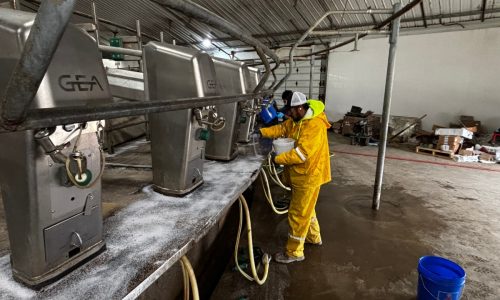 Gill Dairy Case Study During Photo