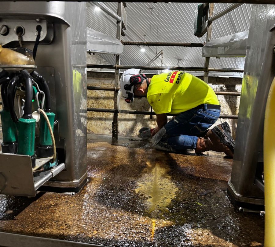 Gill Dairy Case Study during Photo Preview Image 7