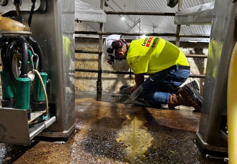 Gill Dairy Case Study during Photo