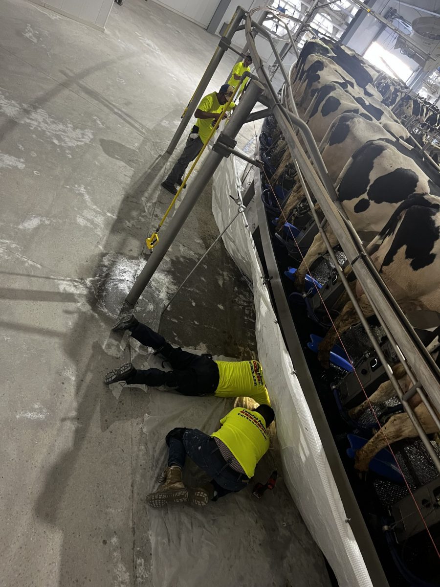 Commercial Flooring Project before photo Preview Image 22