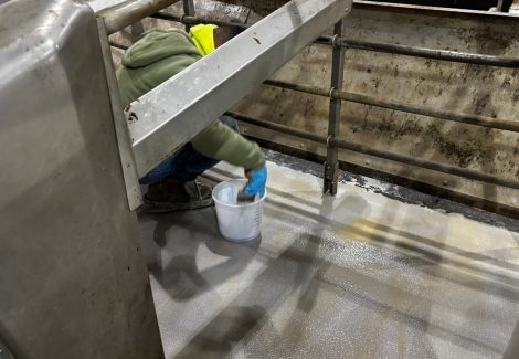 Gill Dairy Case Study floor being finished with sand on top