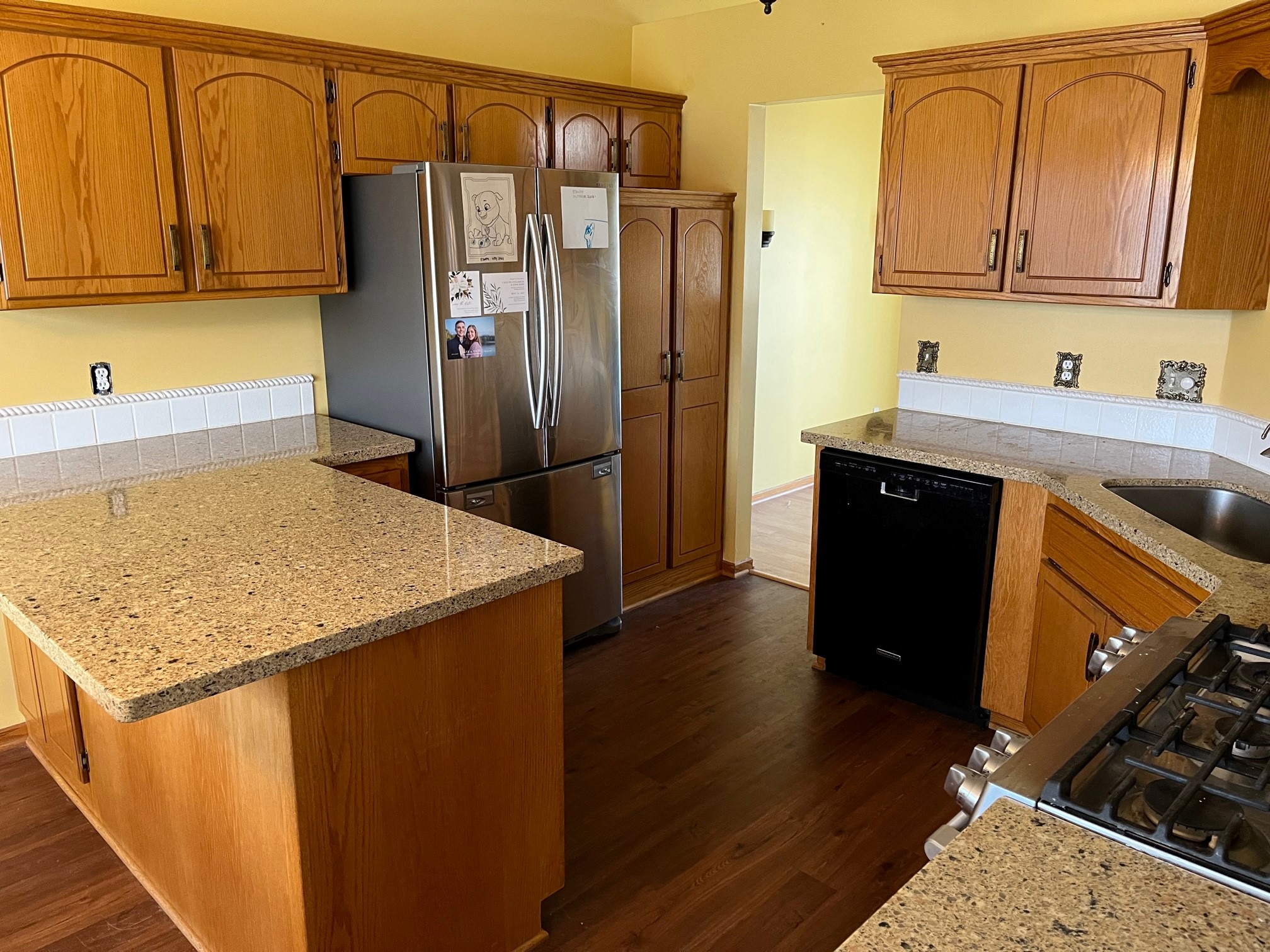 Kitchen Cabinet Enamel Project - Before the job