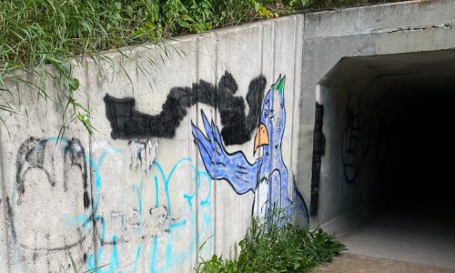 Tunnel Before, left wall