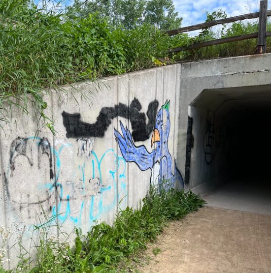 photo of a graffitied bird