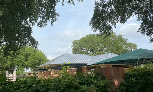 HOA Roof After Painting