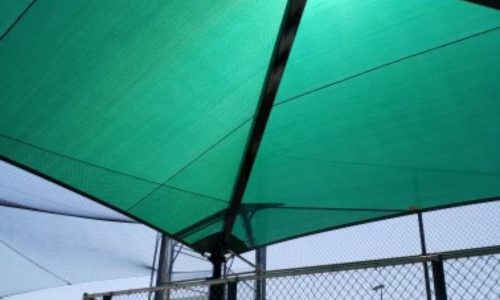 Canopy Beams Painting