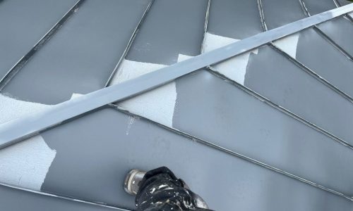 Roof During Painting Process