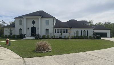 Brick House Painting