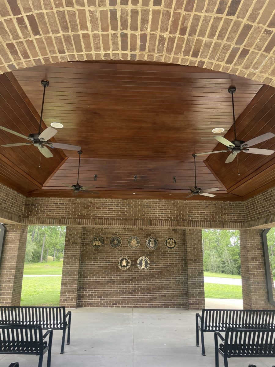stained ceiling Preview Image 1