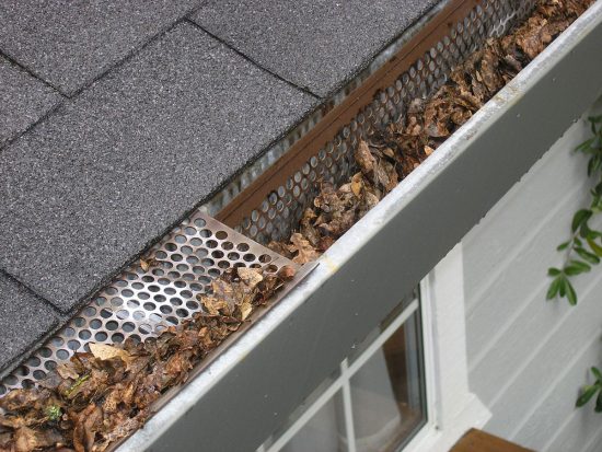 clogged gutter