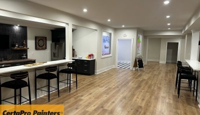 Basement Painting