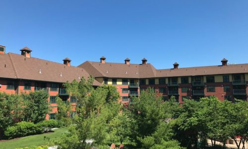 As always one side had the worst of the sun exposure