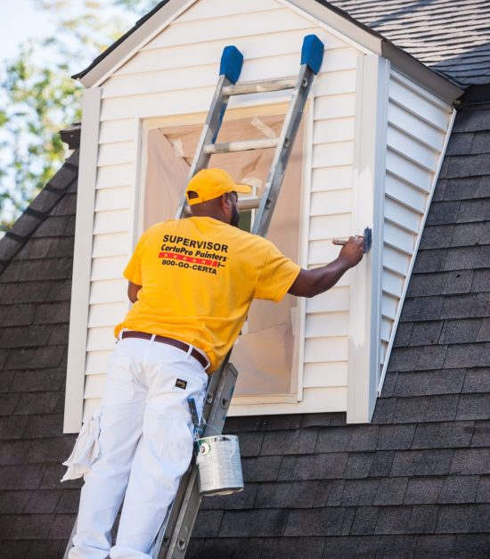 Professional Vinyl Siding Painters Mountainside, NJ
