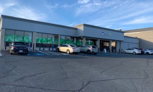 The full length of its face