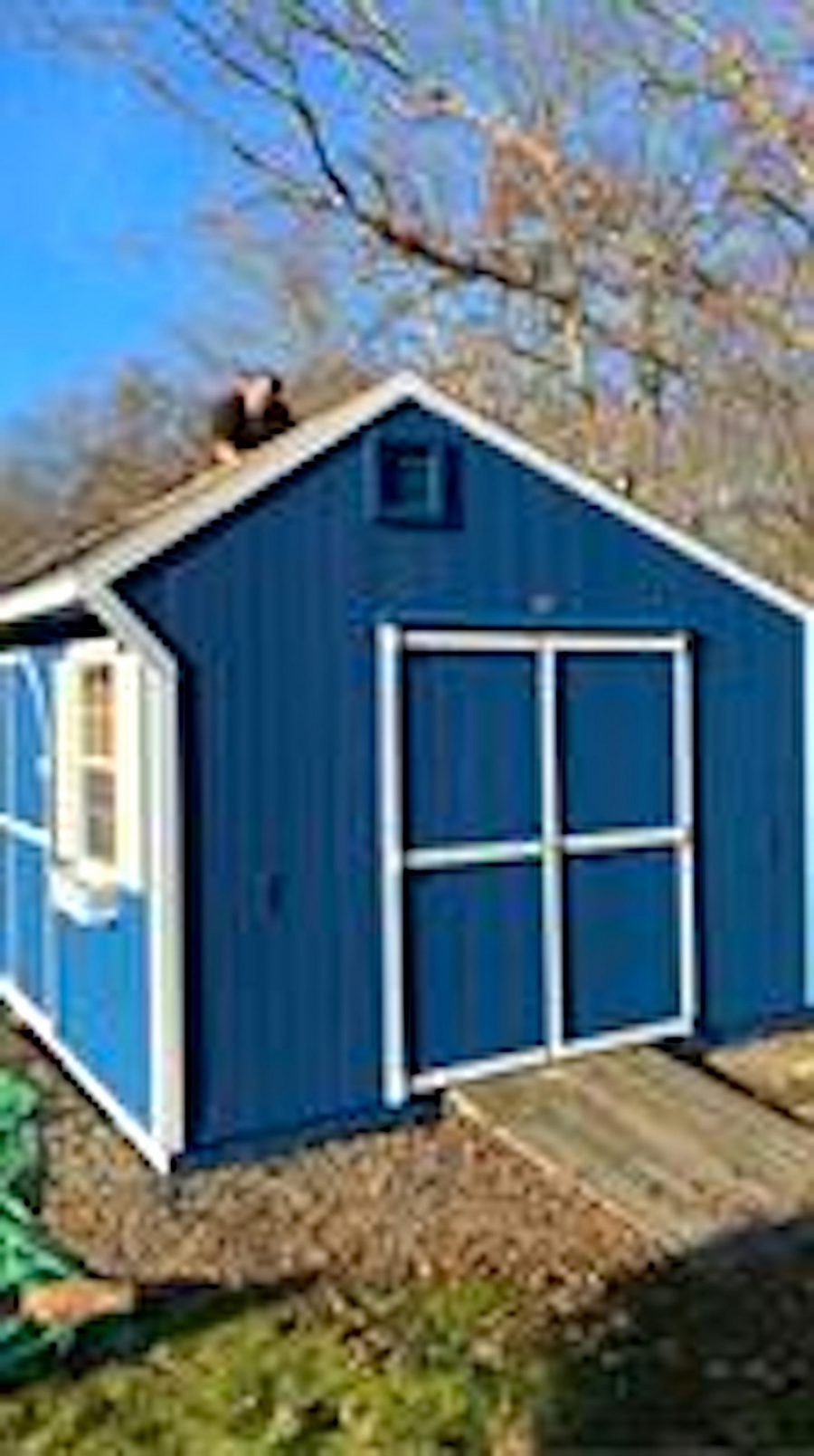 Repainted Shed Trim Preview Image 1