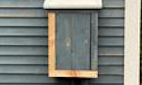 Painting Prep On House Electrical Box