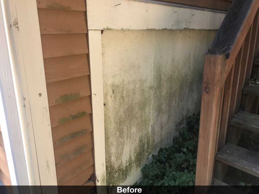 Stairs and siding before prep and paint Preview Image 10