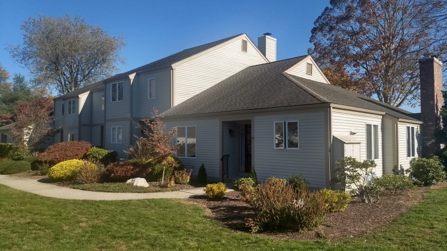 Completed Complex Repainting Preview Image 9