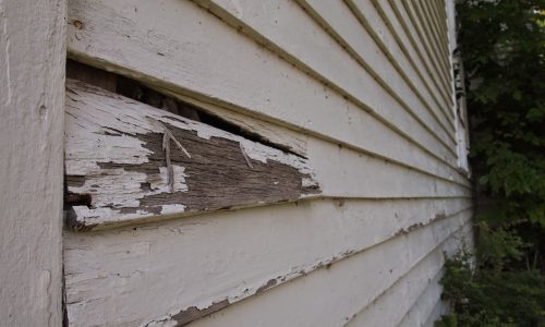 Wood Exterior Rot