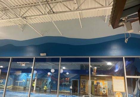 Goldfish Swim School Interior