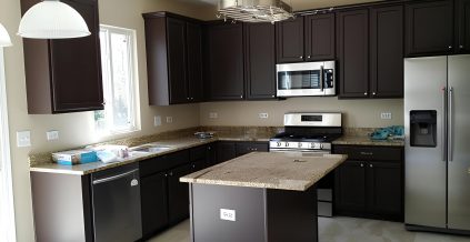 Dark Cabinets for Plainfield Home