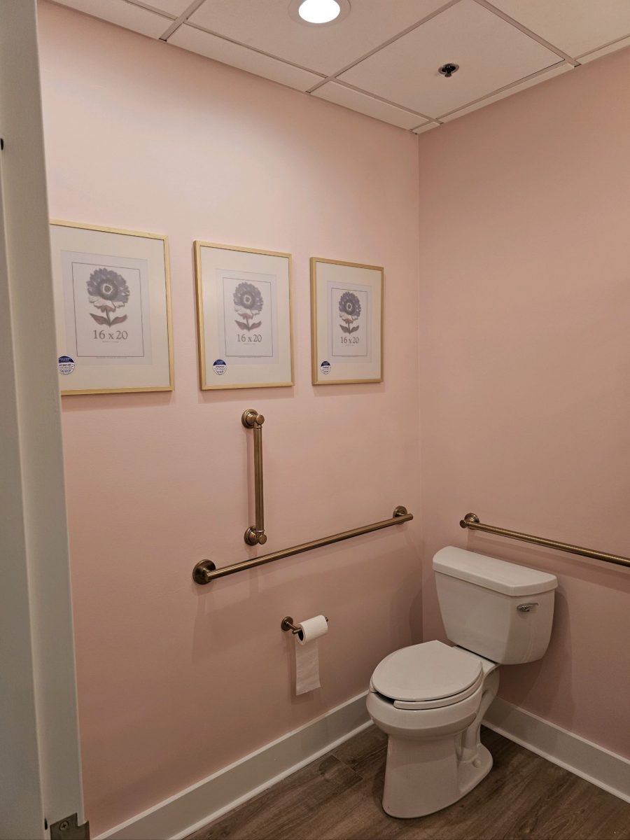 Salon Pink Bathroom Preview Image 3