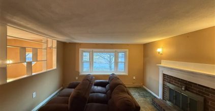 Living Room Interior Painting