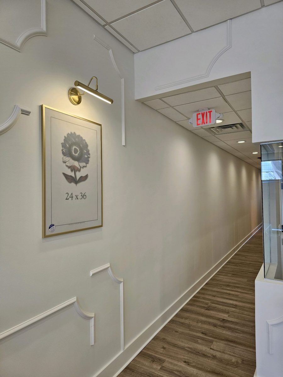 Salon Hallway Painted Preview Image 1