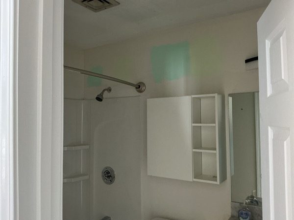 before interior bathroom painting Preview Image 7