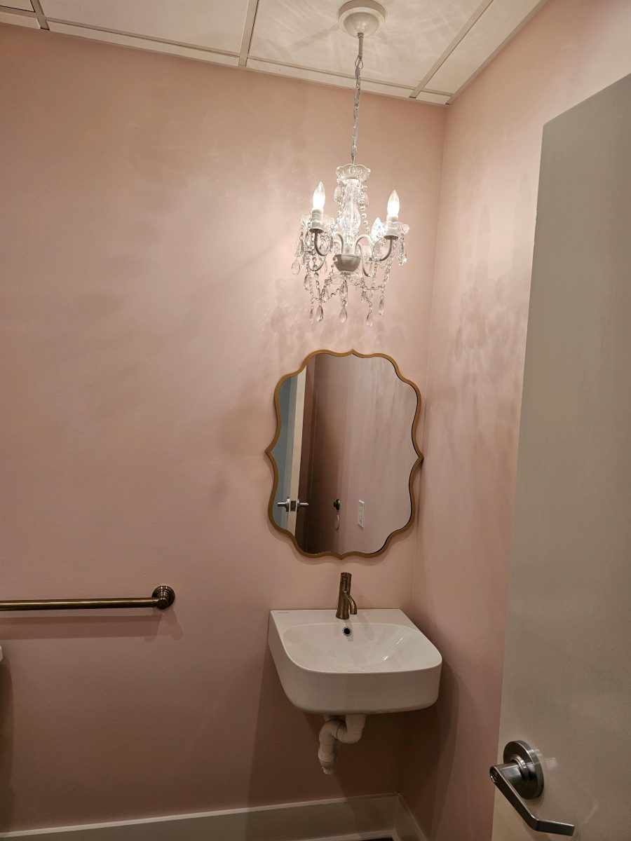 Pink Salon Bathroom Painted Preview Image 2