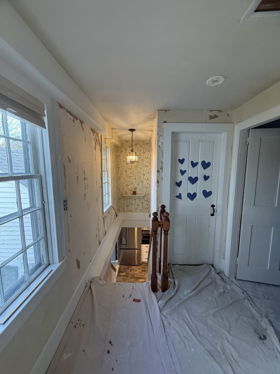 During Wallpaper Removal Preview Image 3