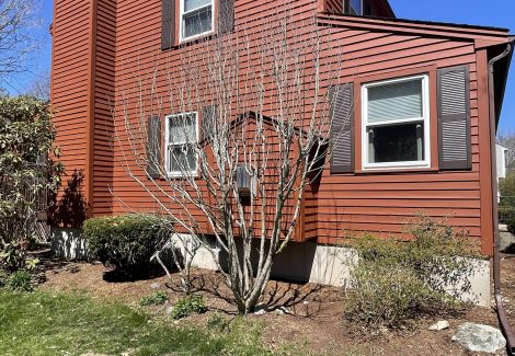 Exterior Painting