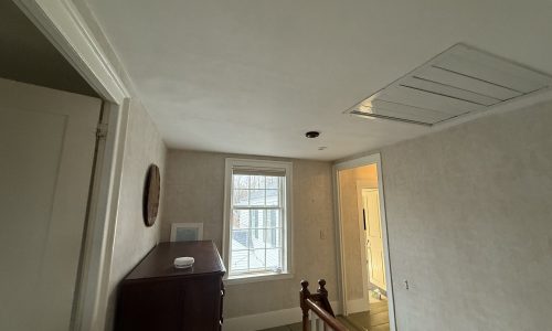 Ceiling Repair & Painting