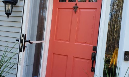Door Painting