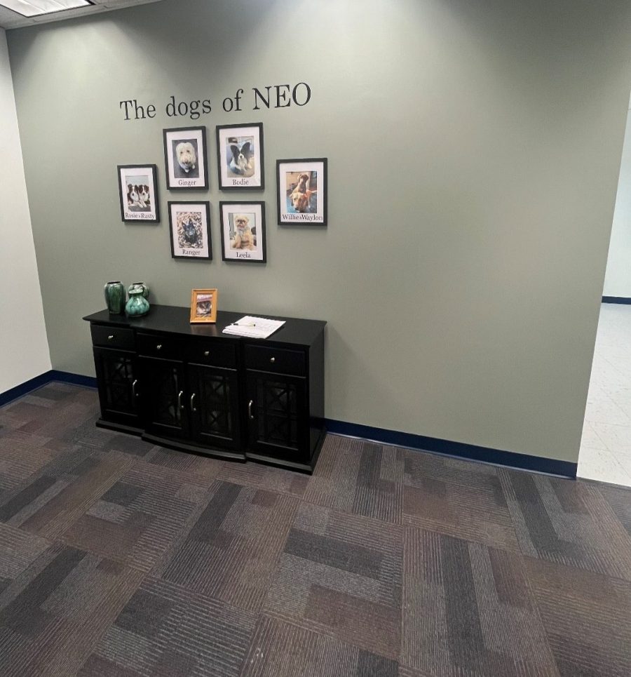 WSB Office Interior Painting Preview Image 1