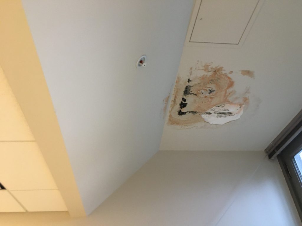 Damaged Drywall Ceiling Repair Project Before