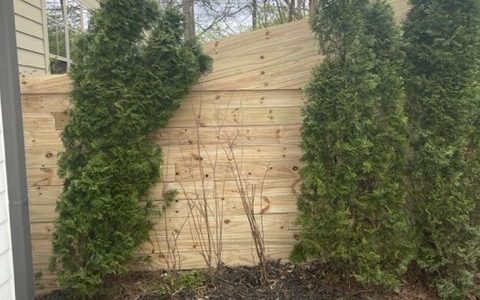 Privacy Fence Project